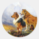 Buscar collie pegatinas Colmenas