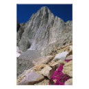 Buscar mt whitney posters Paisaje