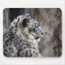 Buscar onza electronica Gato