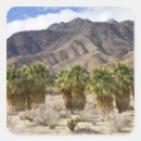 Buscar desierto de california pegatinas Flora