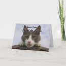 Buscar tarjetas de pascua General y unisex