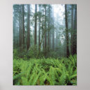 Buscar rododendro posters Verde