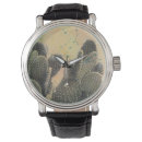 Buscar cactus relojes Desierto