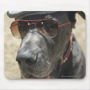 Buscar great dane alfombrillas de raton Perro