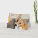 Buscar del perro tarjetas Fotografía
