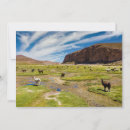Buscar bolivia tarjetas Alpaca