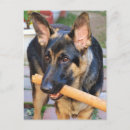 Buscar german postales Canina