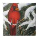 Buscar rojo brillante azulejos Vida silvestre