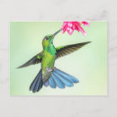 Buscar pluma de pájaro postales Volante