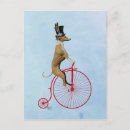 Buscar penny farthing postales Galgo