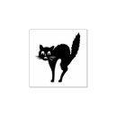 Buscar gato Animal