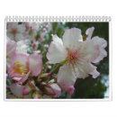 Buscar israel calendarios Cristiano