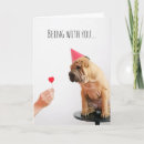 Buscar shar pei tarjetas Amante