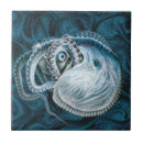 Buscar nautilus azulejos Náutico