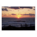 Buscar obx Kitty hawk