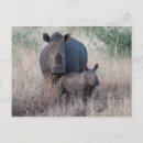 Buscar amor de madre postales Bebé