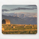 Buscar balas alfombrillas de raton Heno