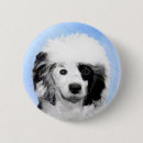 Buscar perro de agua chapas Cachorro