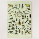 Buscar escarabajo puzzles Vintage