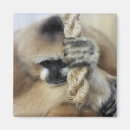 Buscar vestir imanes General y unisex