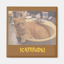 Buscar cattitude Animales