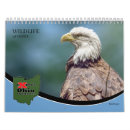 Buscar oruga calendarios General y unisex