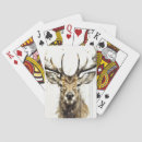 Buscar animales la selva de barajas de cartas Vida silvestre