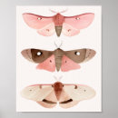 Buscar insectos posters General y unisex