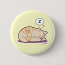 Buscar gato perezoso pins Lindo