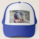 Buscar raza pura gorras Perro