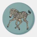 Buscar zebra imanes Zoo