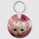 Buscar gatito suave llaveros Gato