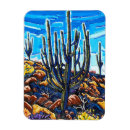 Buscar tucson imanes Saguaro