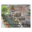 Buscar mapache calendarios Adorable