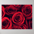 Buscar estudios fotográficos posters Amor