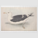 Buscar gaviota papel de seda Ave