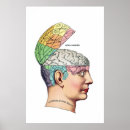 Buscar frenología posters Psicología