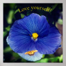 Buscar viola arte Azul