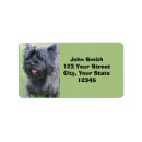 Buscar cairn terrier postales Canina