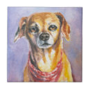 Buscar rubio azulejos Animal