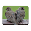 Buscar duelo imanes Paloma