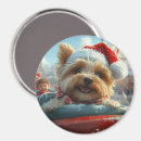 Buscar montaña rusa imanes Diversión