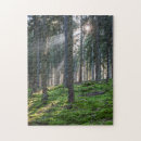 Buscar rayas negras puzzles Bosque
