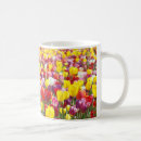 Buscar tulipanes de la primavera tazas Para todos