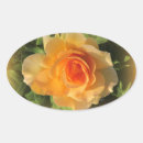 Buscar albaricoque pegatinas Floral