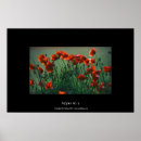 Buscar norfolk inglaterra posters Naturaleza
