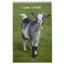Buscar cabras calendarios Granja