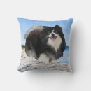 Buscar perro de pomerania cojines Animales