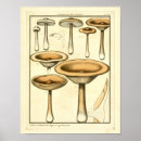 Buscar originales arte Ilustracion