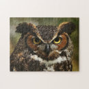 Buscar búho grande puzzles Animales
